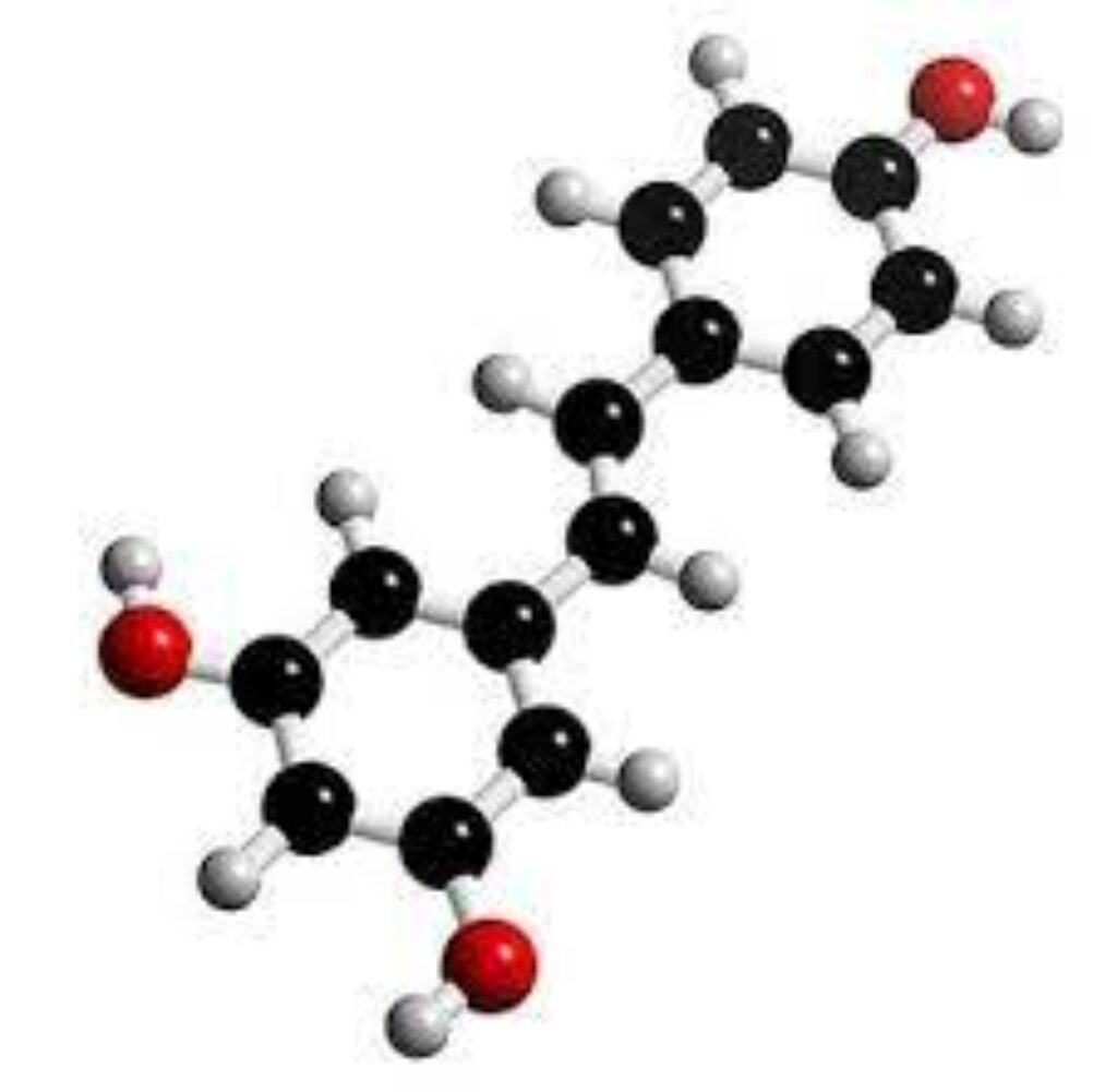 Regenere Drops Com Até 70% de Desconto 13 images 1