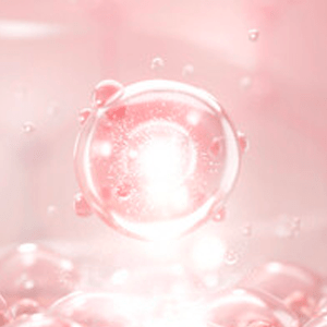 Rosa Amazônica Com Até 70% de Desconto 13 verisol 1